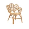 11147 Location fauteuil en rotin Paon