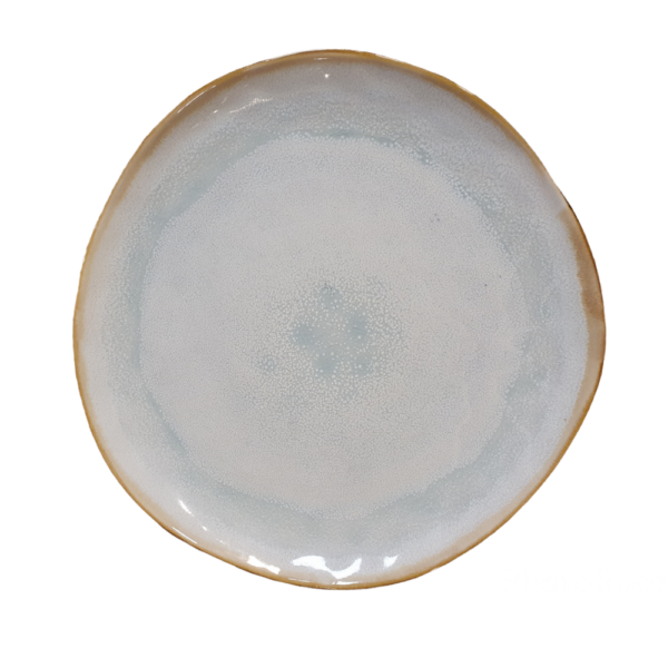 Location assiette plate ACQUA D21cm