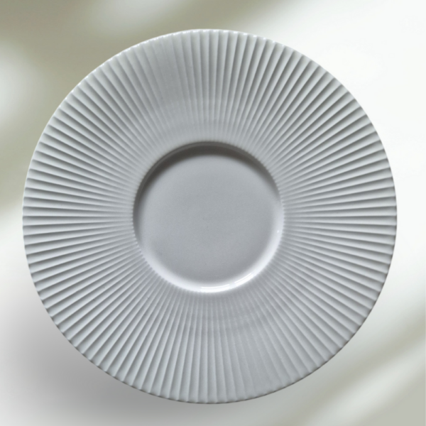 Assiette plate coupe SPECTRA - petite D21cm