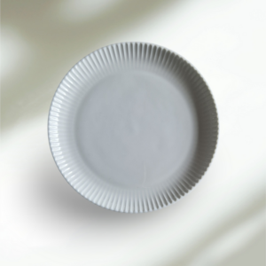 Assiette plate coupe SPECTRA - petite D21cm