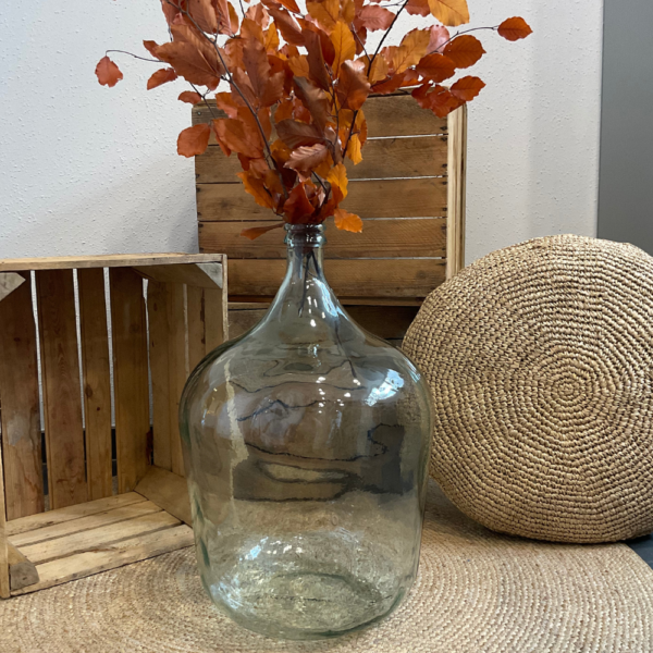 Dame Jeanne transparente 12L