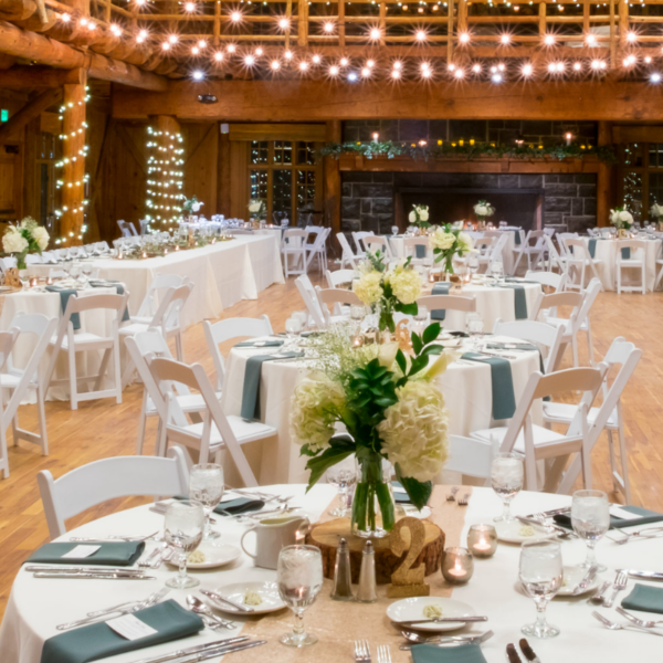 Location chaise wedding blanche