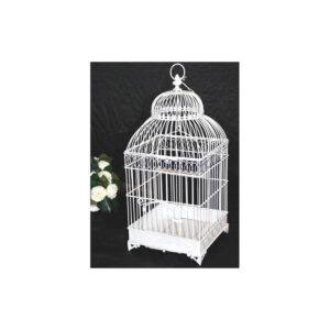 Location urne cage à oiseau