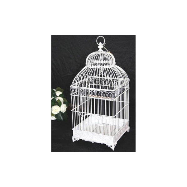 Location urne cage à oiseau
