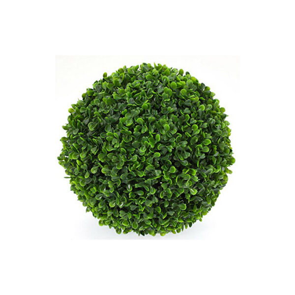 Location boule de buis