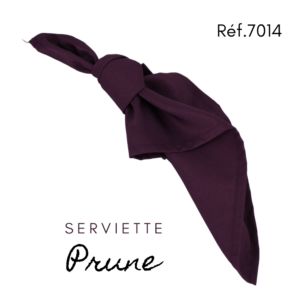 Serviette en tissus- Prune