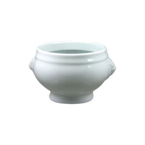 Location bol tête de lion