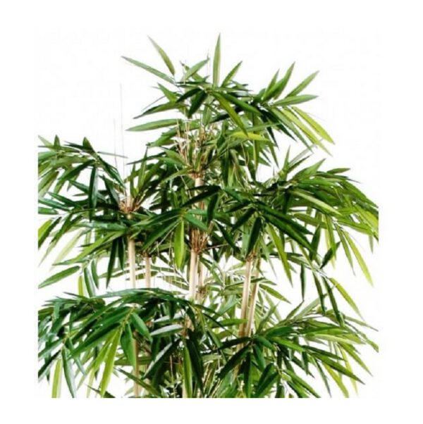 Location plante Bambou New Artificiel