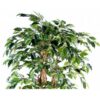 Location ficus artificiel H150cm