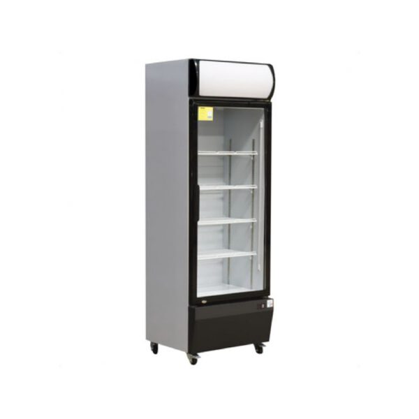 Location réfrigérateur vitrine réfrigérée positive 374 L