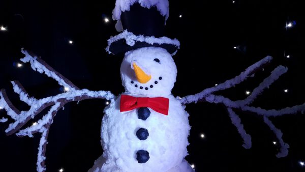 Location bonhomme de neige