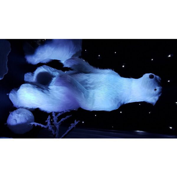 Location ours blanc en peluche géant H 185 cm
