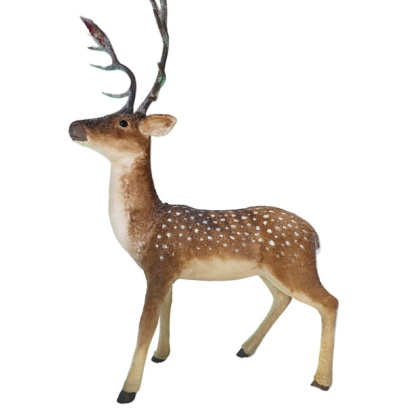 Faon Bambi avec ses bois