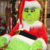 Mascotte Le GRINCH de NOEL