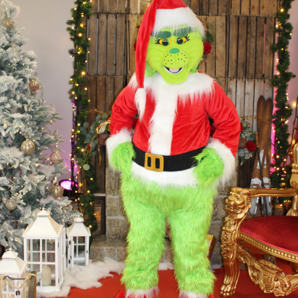 Mascotte Le GRINCH de NOEL