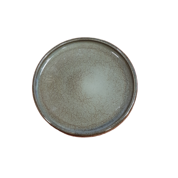 Location assiette plate GAIA-D21cm