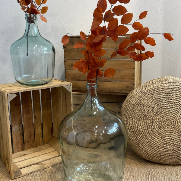 Dame Jeanne transparente 12L