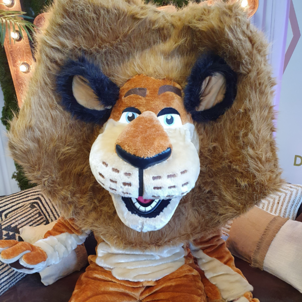 Location Mascotte "Alex" de Madagascar