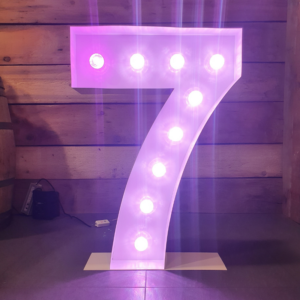 Location Grand Chiffre lumineux de 0 à 9 -Hauteur 1m-Multicolore RGB