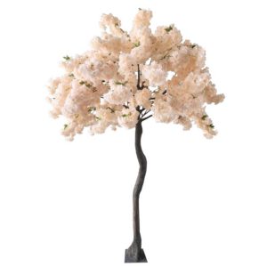 Location arbre cerisier pêche H2m70