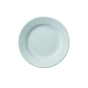 Location assiette plate BANQUET 21cm