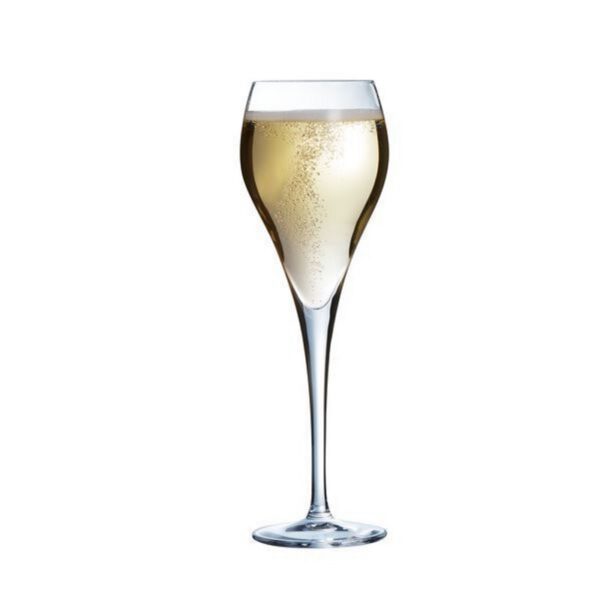 Flûte à champagne BRIO / JULIETTE