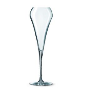 Location flûte OPEN UP 22cl