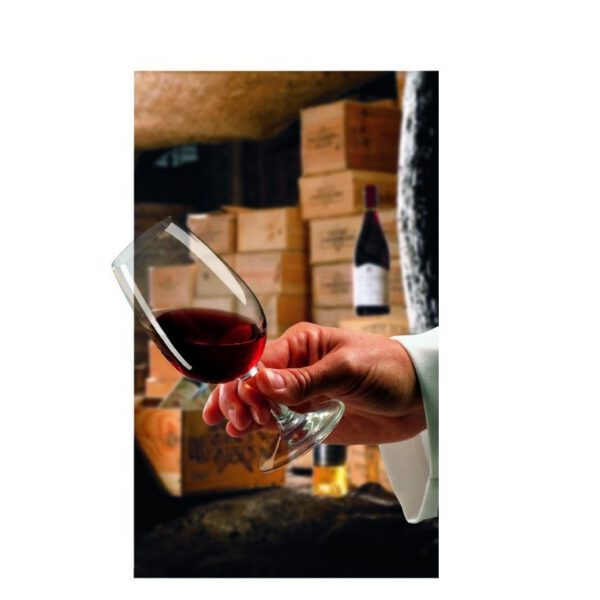 Location verre INAO viticole 21.5cl