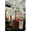 Location arbre cerisier blanc H2m70
