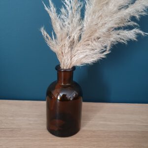 Location fiole d'apothicaire 125 ml (moyen)