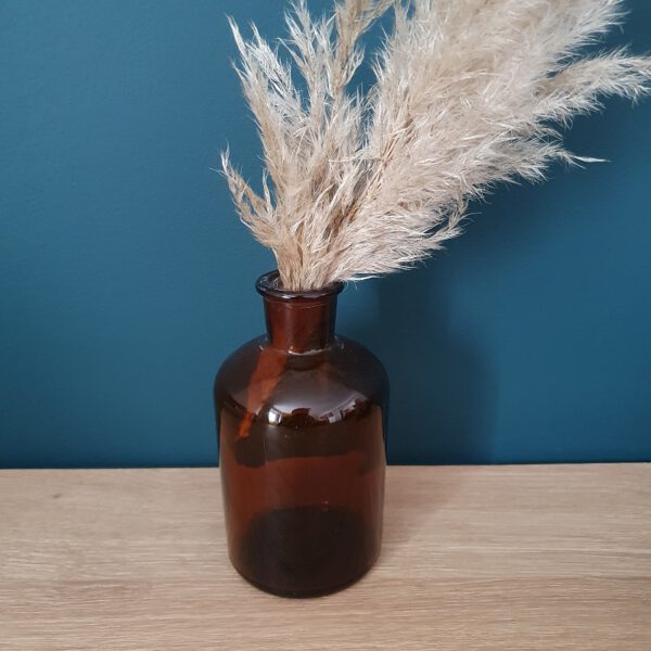 Location fiole d'apothicaire 250 ml (grand)
