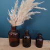 Location fiole d'apothicaire 60 ml (petit)