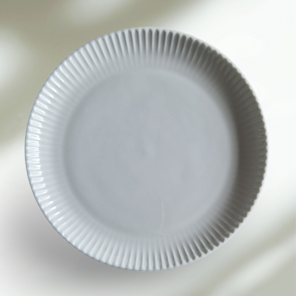 Assiette plate coupe SPECTRA - petite D21cm