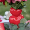 Vase Double Coeur rouge (12x17x6,7cm)
