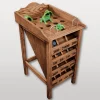 Jeu de la GRENOUILLE